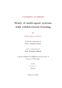 Study of Multi-Agent Systems with Reinforcement Learning