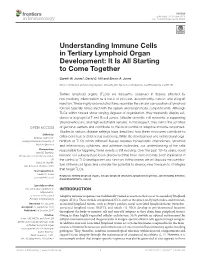 Understanding Immune Cells in Tertiary Lymphoid Organ Development: It Is All Starting to Come Together