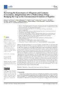 Crocodylia, Alligatoridae) After a Half-Century Delay: Bridging the Gap in the Chromosomal Evolution of Reptiles