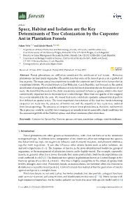 Space, Habitat and Isolation Are the Key Determinants of Tree Colonization by the Carpenter Ant in Plantation Forests