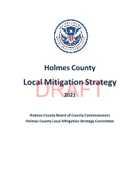 Local Mitigation Strategy DRAFT2021