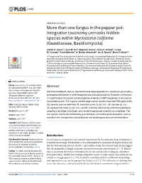 More Than One Fungus in the Pepper Pot: Integrative Taxonomy Unmasks Hidden Species Within Myriostoma Coliforme (Geastraceae, Basidiomycota)
