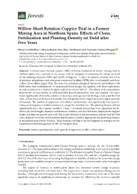 Willow Short Rotation Coppice Trial in a Former Mining Area in Northern Spain: Effects of Clone, Fertilization and Planting Density on Yield After Five Years