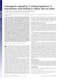 Geomagnetic Imprinting: a Unifying Hypothesis of Long-Distance Natal Homing in Salmon and Sea Turtles Kenneth J