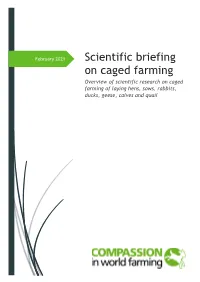Scientific Briefing on Caged Farming Overview of Scientific Research on Caged Farming of Laying Hens, Sows, Rabbits, Ducks, Geese, Calves and Quail