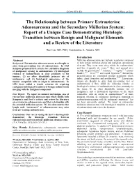 The Relationship Between Primary Extrauterine Adenosarcoma and the Secondary Müllerian System