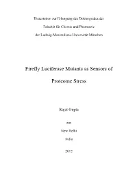 Firefly Luciferase Mutants As Sensors of Proteome Stress