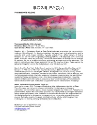 FOR IMMEDIATE RELEASE Transparent Studio: Chitra Ganesh