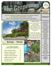October 2020 Grapevine
