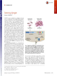 Sensing Danger COMMENTARY Luciano A