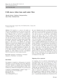 Cells Move When Ions and Water Flow