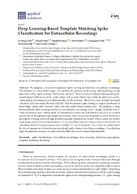 Deep Learning-Based Template Matching Spike Classification For