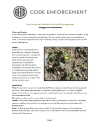 Puncturevine Identification and Management Background Information
