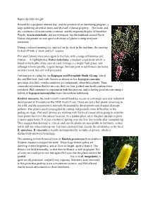 Report by John Knight Blessed by a Gorgeous Autumn Day, and the Promise of an Interesting Program, a Large Gathering Arrived at Anne and Michael’S Durras Property