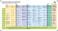 Auckland Family Day Programme
