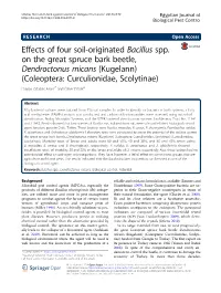Effects of Four Soil-Originated Bacillus Spp. on the Great Spruce Bark Beetle