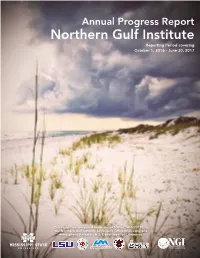 NGI Progress Report 2017