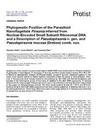 Phylogenetic Position of the Parasitoid Nanoflagellate Pirsonia Inferred from Nuclear-Encoded Small Subunit Ribosomal DNA and a Description of Pseudopirsonia N
