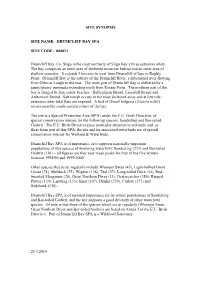 Site Synopsis