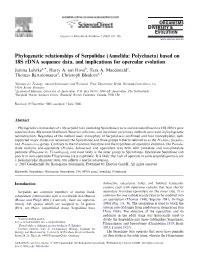 Phylogenetic Relationships of Serpulidae (Annelida: Polychaeta) Based on 18S Rdna Sequence Data, and Implications for Opercular Evolution Janina Lehrkea,Ã, Harry A