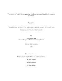 The Role of LC and FAS in Regulating Floral Meristem and Fruit Locule Number in Tomato