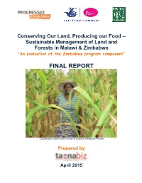 Final Report