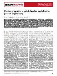 Machine-Learning-Guided Directed Evolution for Protein Engineering