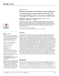 Robust Induction of Interferon and Interferon-Stimulated Gene