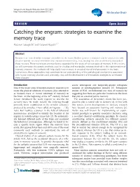 Catching the Engram: Strategies to Examine the Memory Trace Masanori Sakaguchi1 and Yasunori Hayashi1,2*