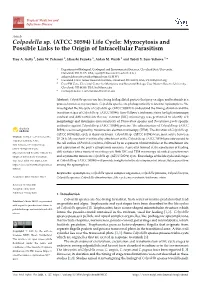 Colpodella Sp. (ATCC 50594) Life Cycle: Myzocytosis and Possible Links to the Origin of Intracellular Parasitism