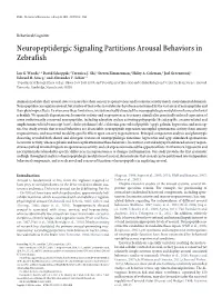 Neuropeptidergic Signaling Partitions Arousal Behaviors in Zebrafish