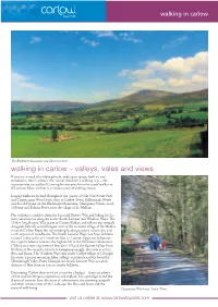 Walking in Carlow – Valleys, Vales and Views