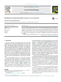 Databases and Bioinformatics Tools for Rice Research