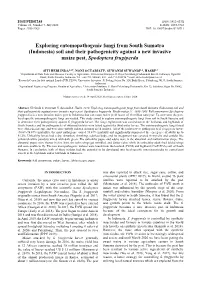 Exploring Entomopathogenic Fungi from South Sumatra (Indonesia) Soil and Their Pathogenicity Against a New Invasive Maize Pest, Spodoptera Frugiperda