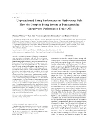 How the Complex Biting System of Pomacentridae Circumvents Performance Trade-Offs