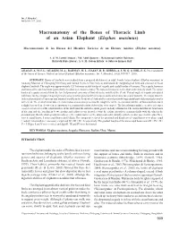 Macroanatomy of the Bones of Thoracic Limb of an Asian Elephant (Elephas Maximus)