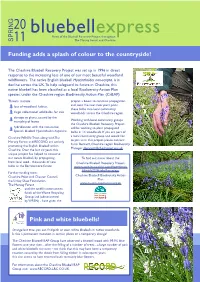 2011 Bluebell Express Newsletter