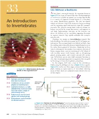 An Introduction to Invertebrates 667 � Figure 33.3 (Continued) Exploring Invertebrate Diversity