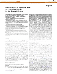 Identification of Eya3 and TAC1 As Long-Day Signals in the Sheep