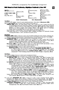 YEARLING, Consigned by the Castlebridge Consignment