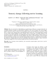 Sensory Change Following Motor Learning