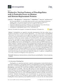 Distinctive Nuclear Features of Dinoflagellates with a Particular