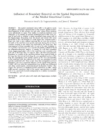Influence of Boundary Removal on the Spatial Representations of The
