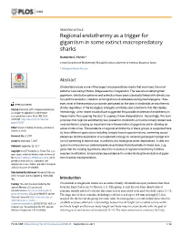 Regional Endothermy As a Trigger for Gigantism in Some Extinct Macropredatory Sharks