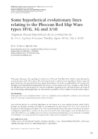 Some Hypothetical Evolutionary Lines Relating to the Phocean Red Slip