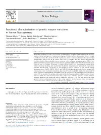 Functional Characterization of Genetic Enzyme Variations in Human Lipoxygenases