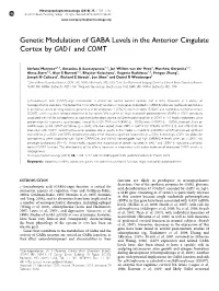 Genetic Modulation of GABA Levels in the Anterior Cingulate Cortex by GAD1 and COMT