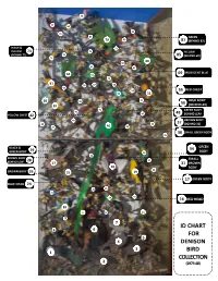 Identification Chart for Denison Bird Collection