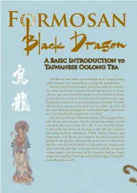 A Basic Introduction to Taiwanese Oolong Tea