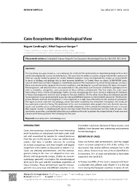 Cave Ecosystems: Microbiological View